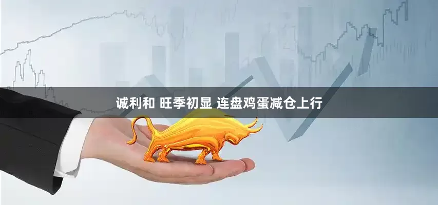 诚利和 旺季初显 连盘鸡蛋减仓上行